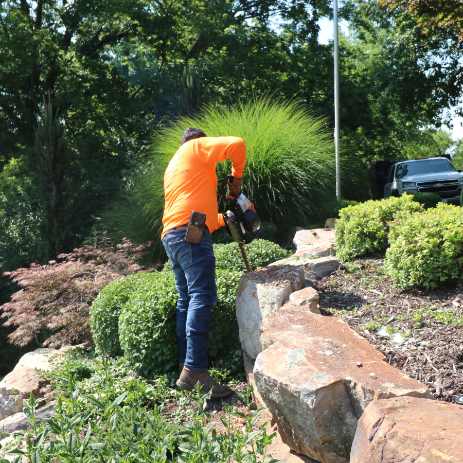 Landscape Maintenance