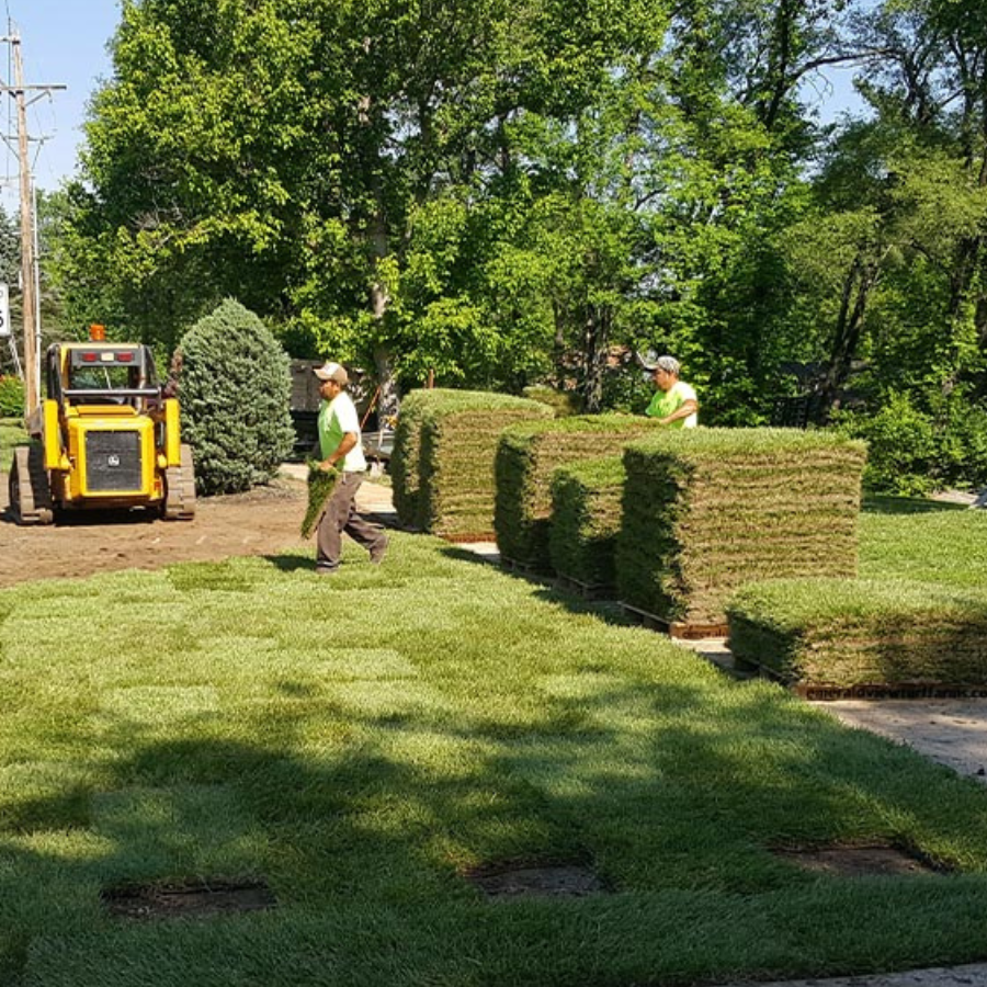 Sod Installation Service | Chesterfield Lawns & Landscapes