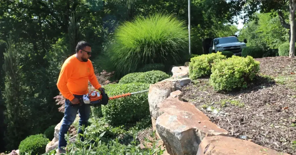 Landscape Maintenance Services | Chesterfield Lawns & Landscapes